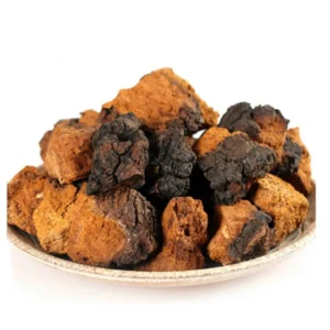 Nấm Chaga 1000g