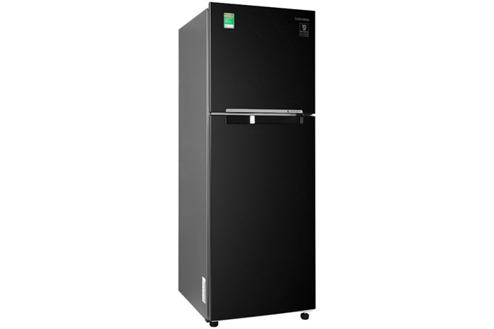 Tủ lạnh Samsung Inverter 236 lít RT22M4032BU/SV - Ảnh 3