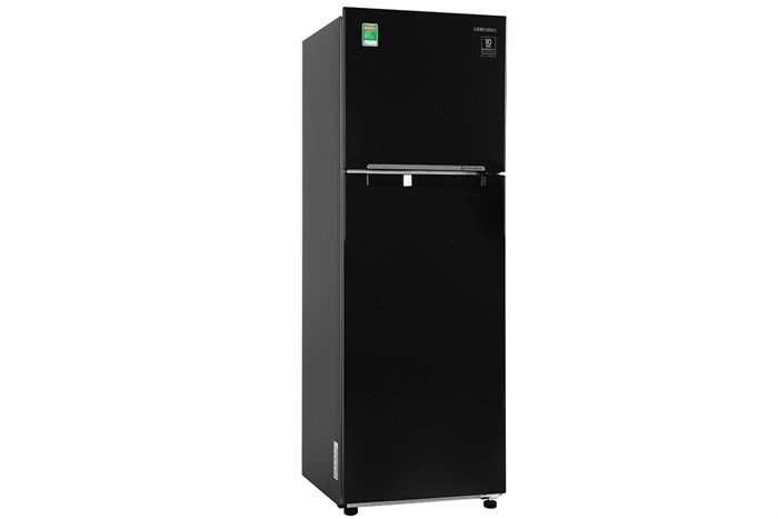 Tủ lạnh Samsung Inverter 256 lít RT25M4032BU/SV - Ảnh 2