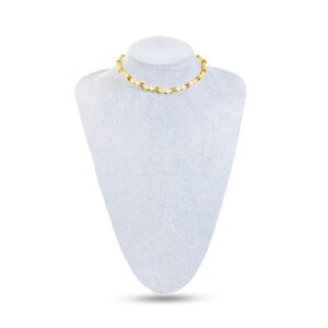 Vòng cổ Hổ phách 5503010076